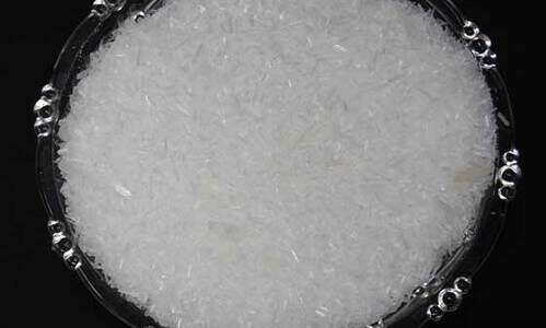 menthol-rice-terpene-less